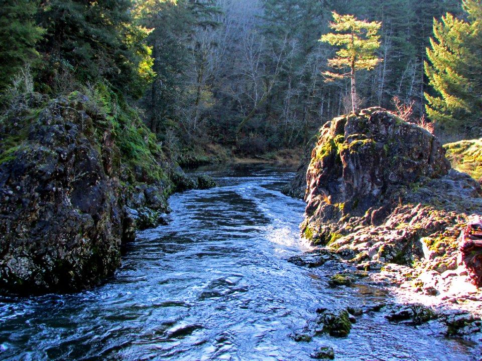 Lucia Falls Park at Lewis River in Washington