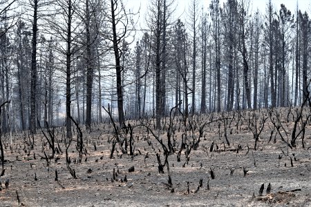 2018 Carr Fire