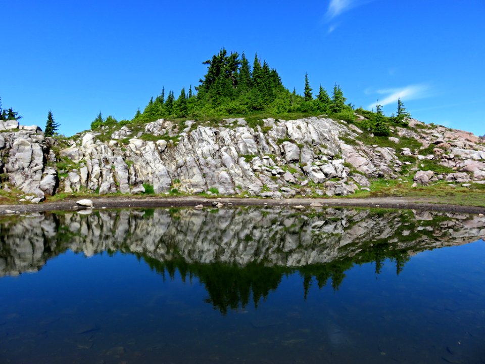 Mt. Baker-Snoqualmie NF in WA
