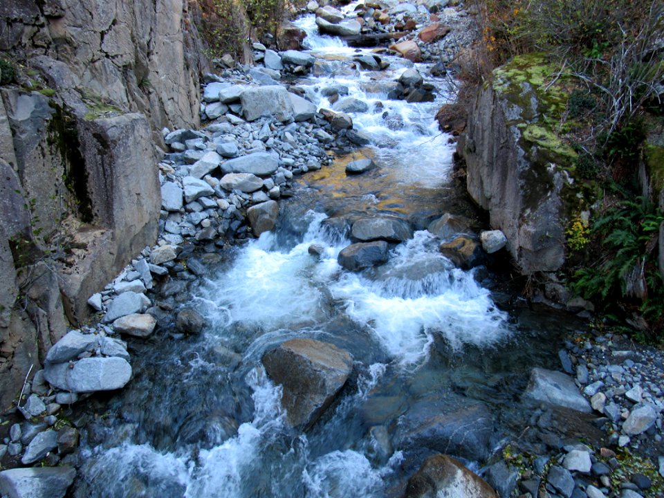 Coldwater Lake Loop Trail in WA