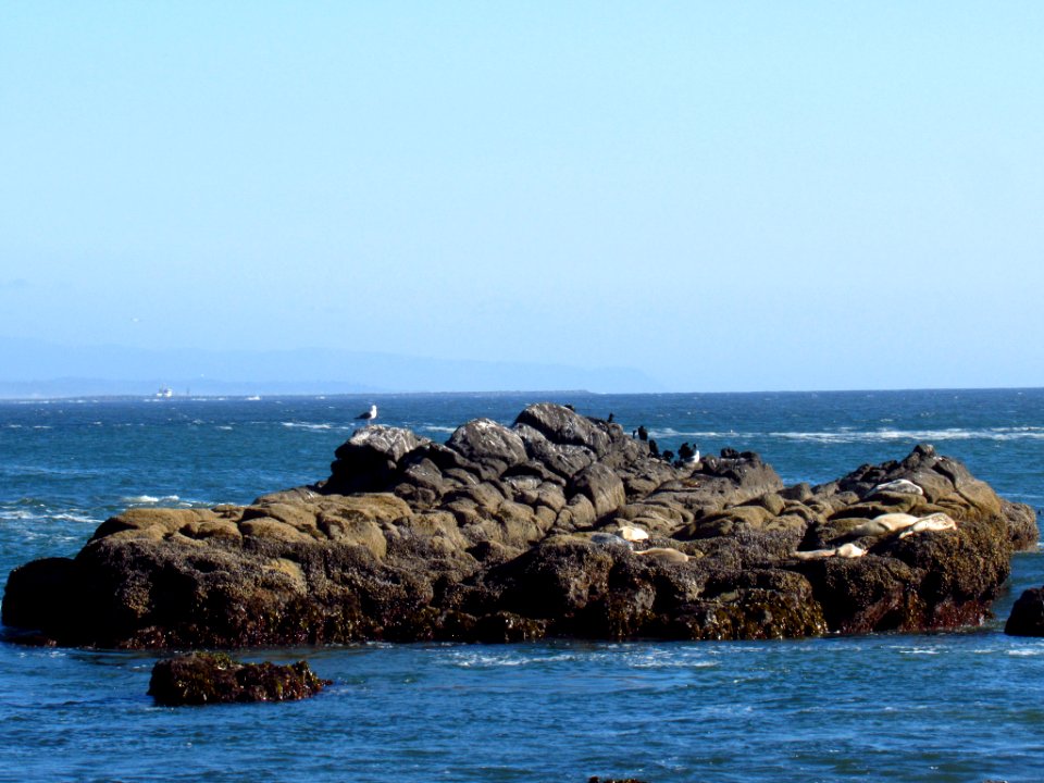 Yaquina Head Natural Area in OR