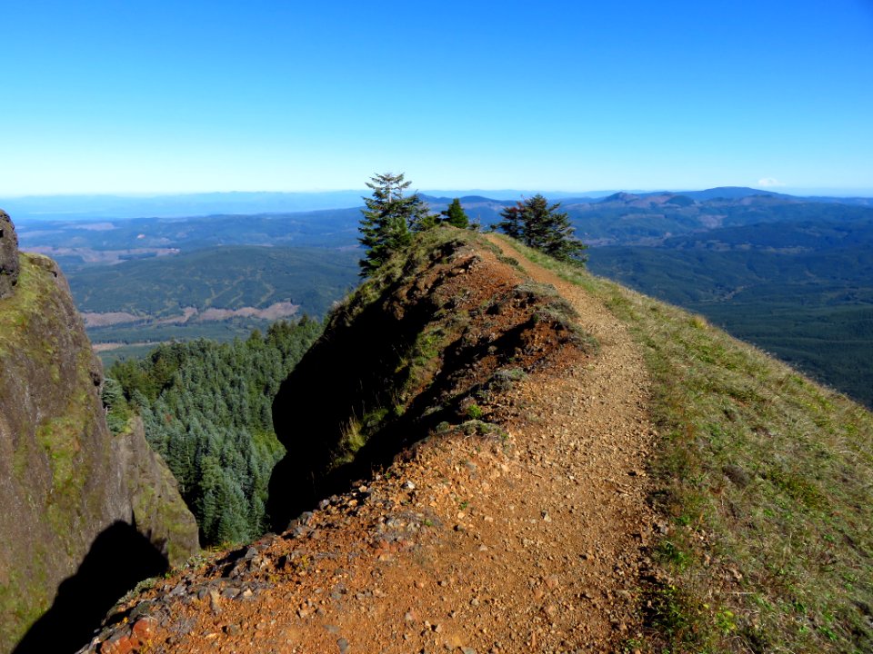 Saddle Mountain Trail in OR