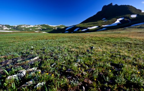 Uncompahgre Wilderness
