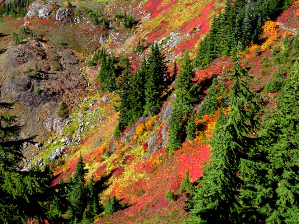 Autumn at Yellow Aster Butte in WA