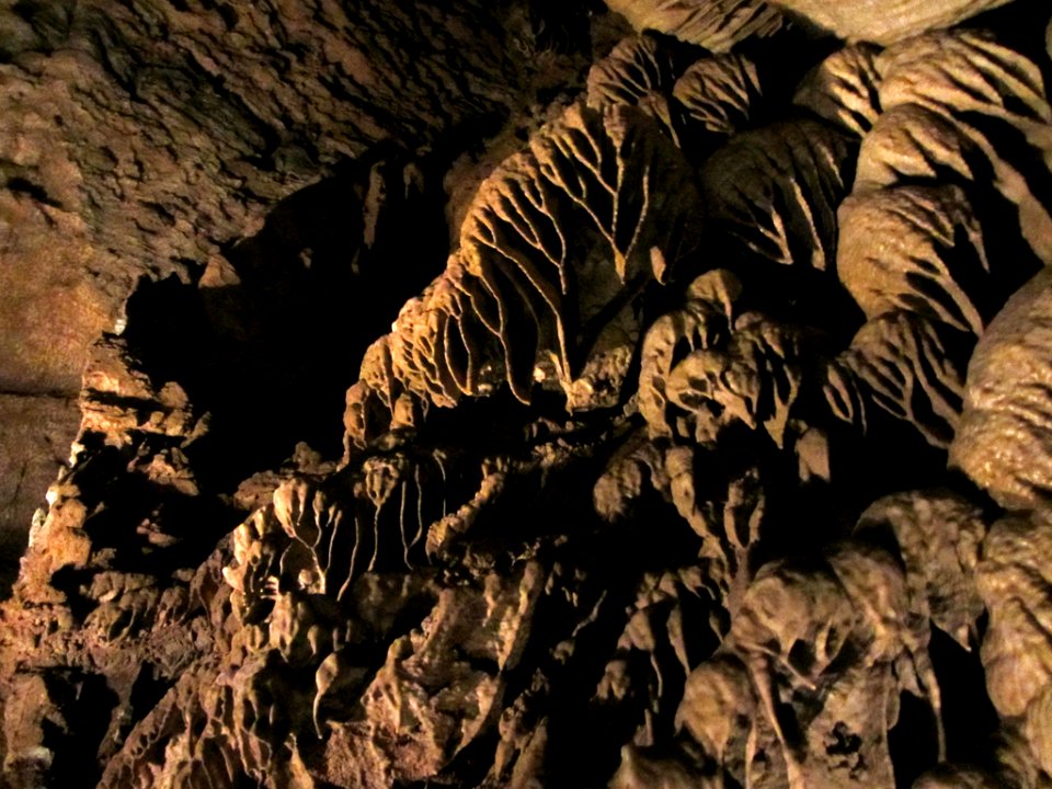 Oregon Caves NM