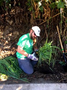 #NPLD 2017: Planting Native Plants