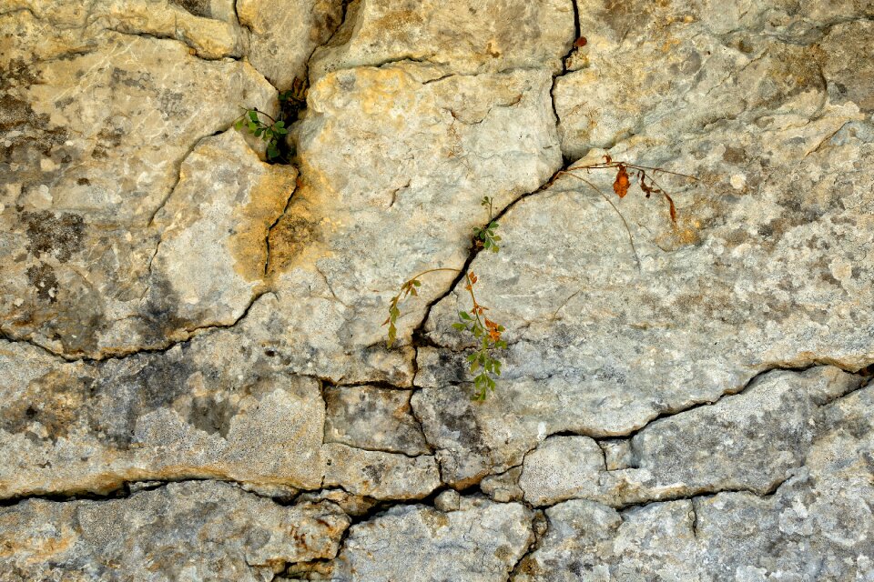 Cracked cracks fouling