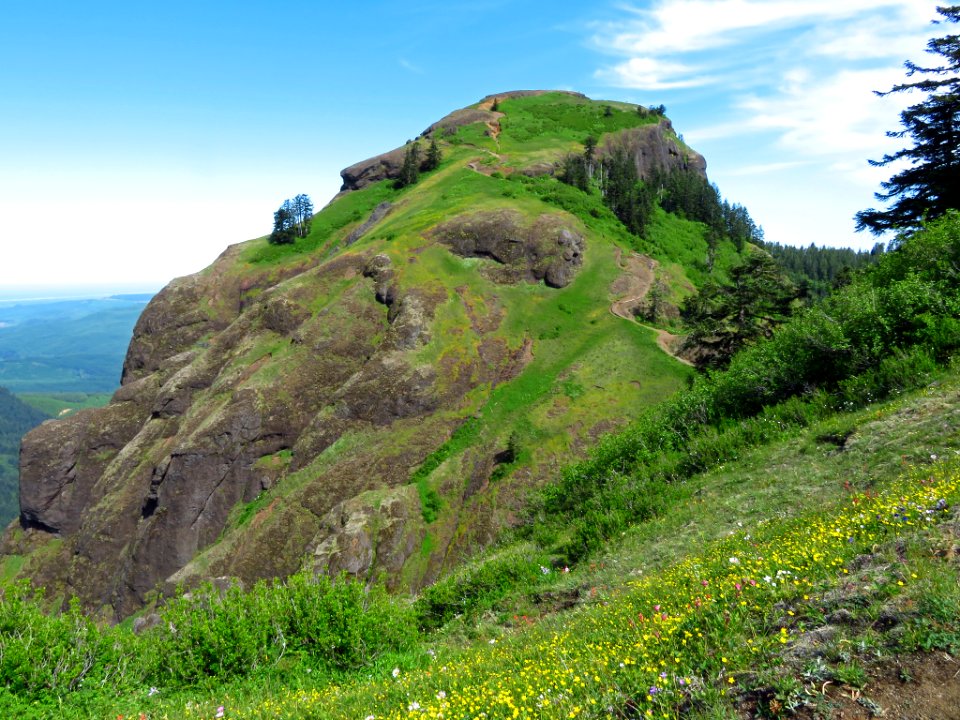 Saddle Mountain Trail in OR