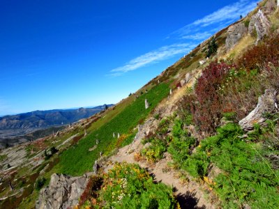 Mt. Margaret Backcountry in WA