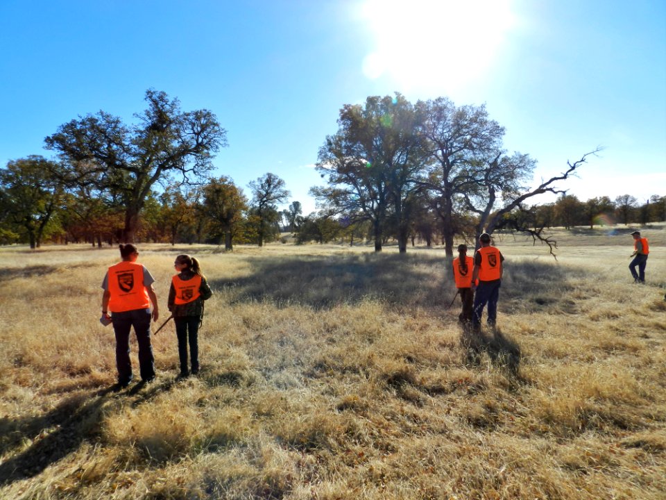 A Hunting Tradition, the Sacramento River Bend Annual Pheasant Hunt