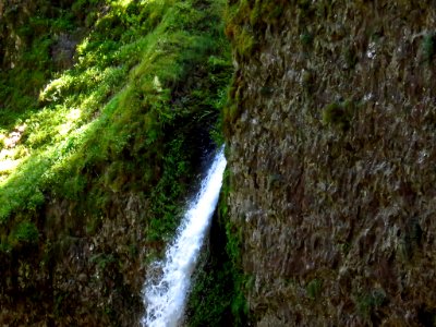 Ponytail Falls at Columbia River Gorge in Oregon photo