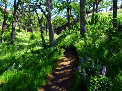 Labyrinth-Coyote Wall Trail in WA