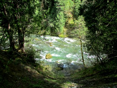 Lower Lewis River Falls Trail in WA