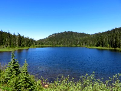 Reflection Lake at Mt. Rainier NP in Washington photo