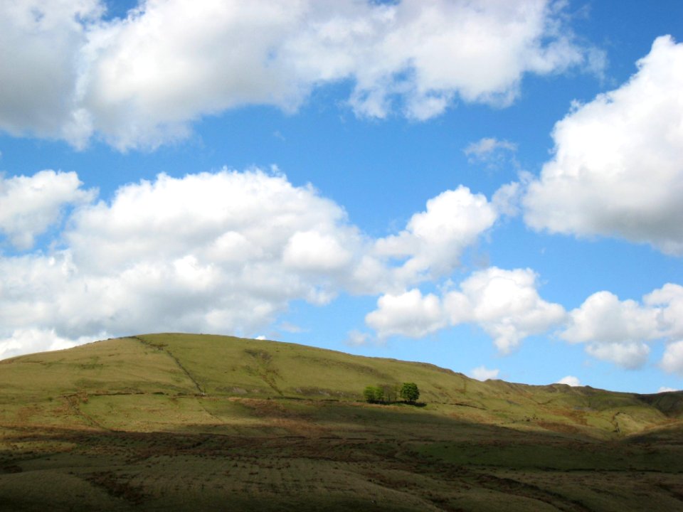 2009 04 26 004-1