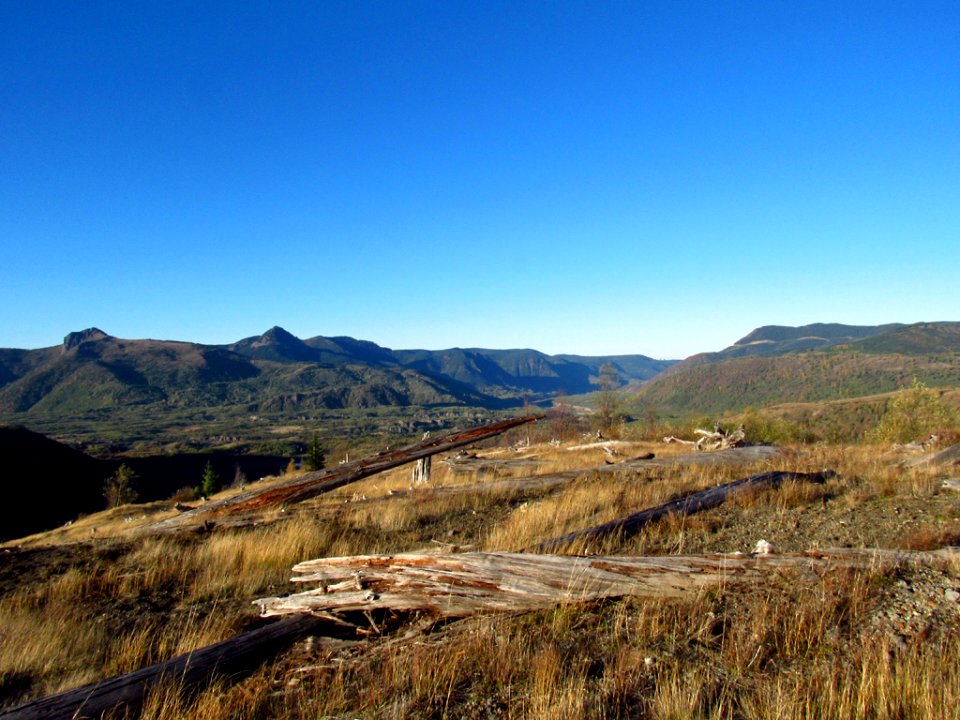Coldwater Lake Loop Trail in WA