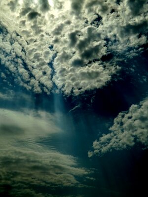 White blue fluffy photo