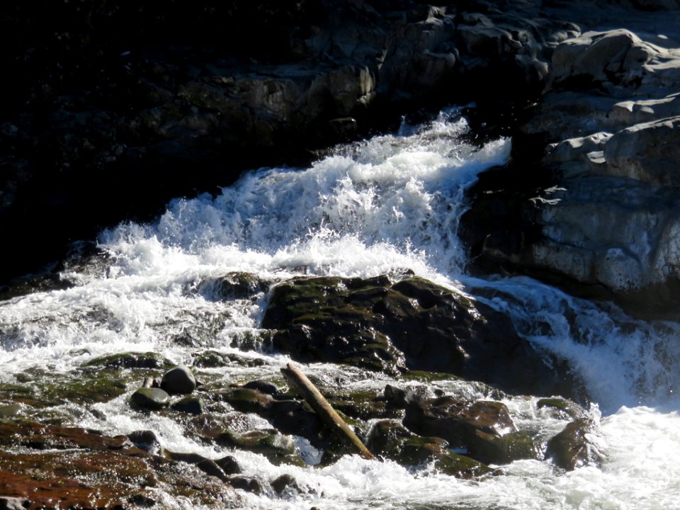 Lucia Falls Park at Lewis River in WA