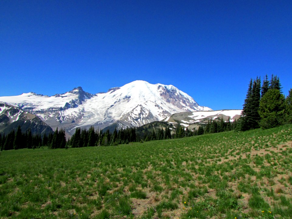 Mt. Rainier NP in WA photo