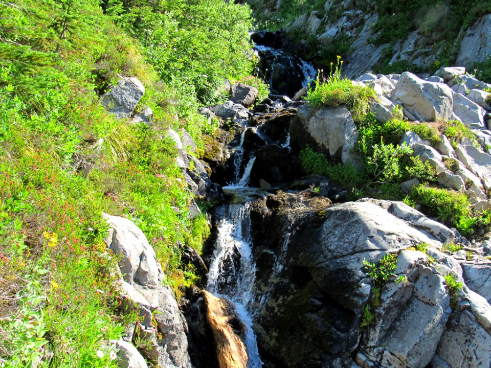 Waterfall at Skyline Trail at Mt. Rainier NP in WA