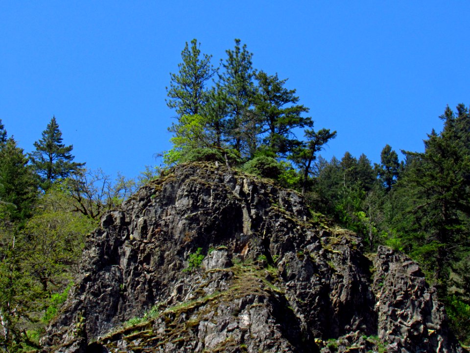 Dog Creek Falls Trail in WA