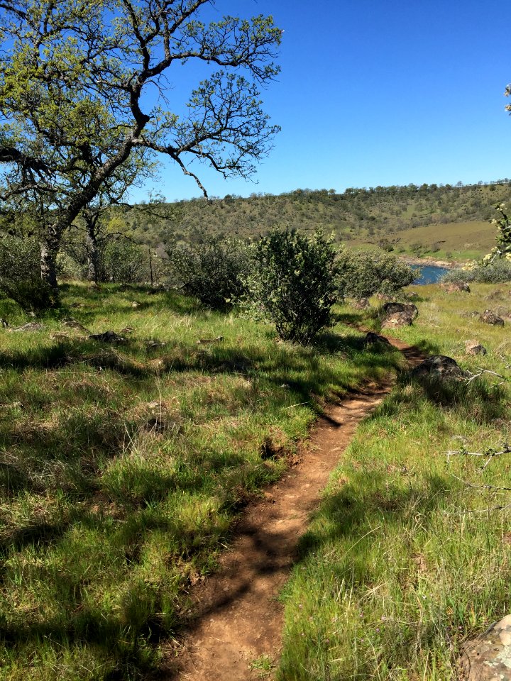 Sacramento River Bend, Yana Trail