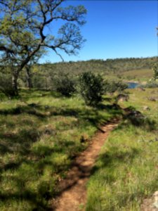 Sacramento River Bend, Yana Trail