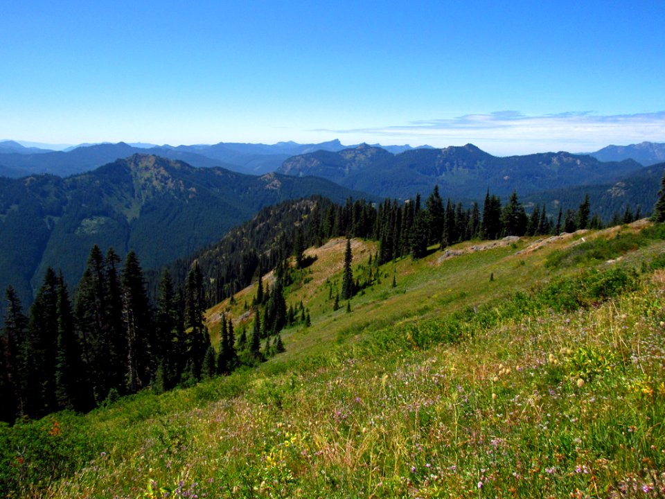 Tatoosh Wilderness in WA