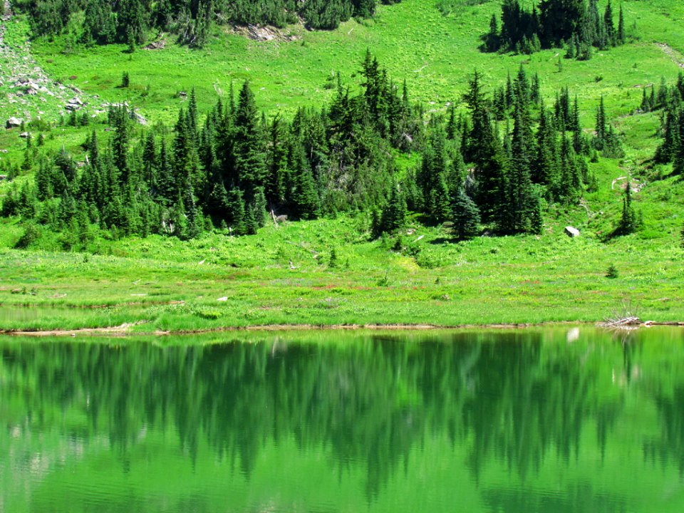 Tipsoo Lake at Mt. Rainier NP in WA
