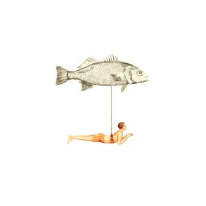 I'm so free. #collage #collageconcanciones #loureed #transformer #imsofree #contemporarycollage #c expo #ginexín #yeswecut #timessquare #free #fish #swimming #learning