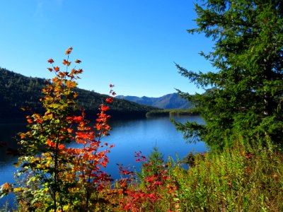 Coldwater Lake Trail in WA