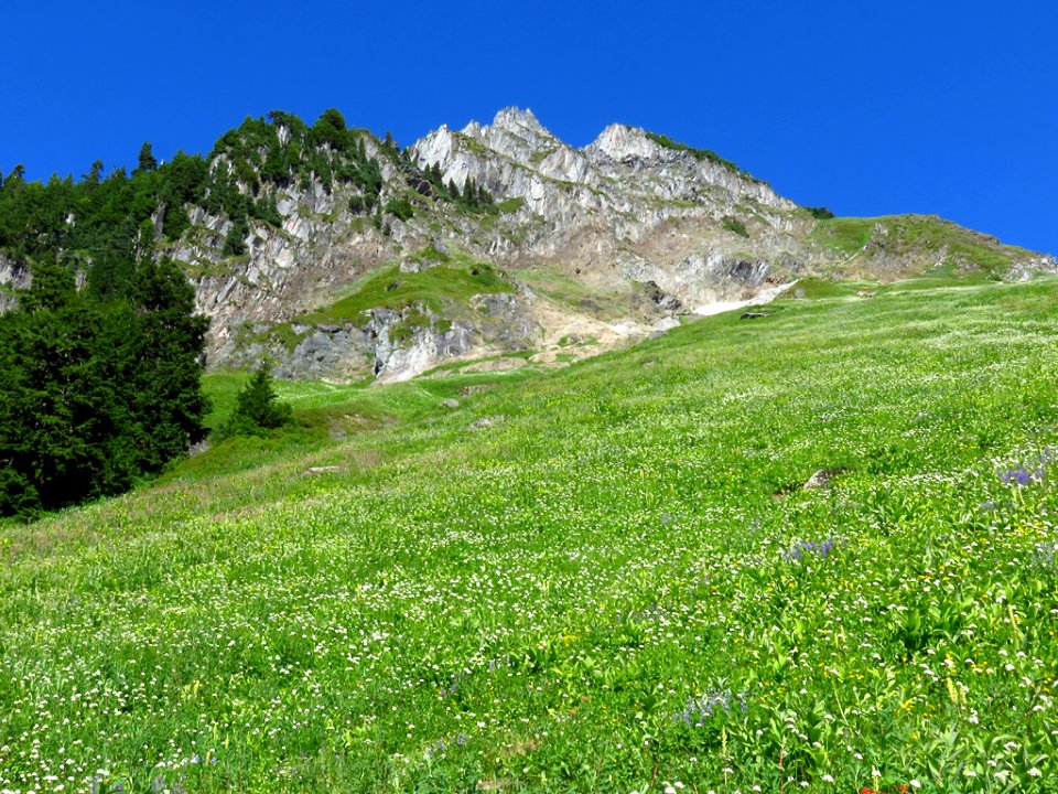 Hidden Lake Trail at North Cascades NP in WA
