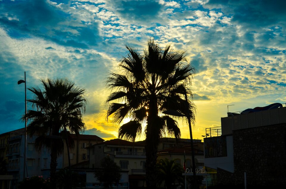 Paradise exotic landscape