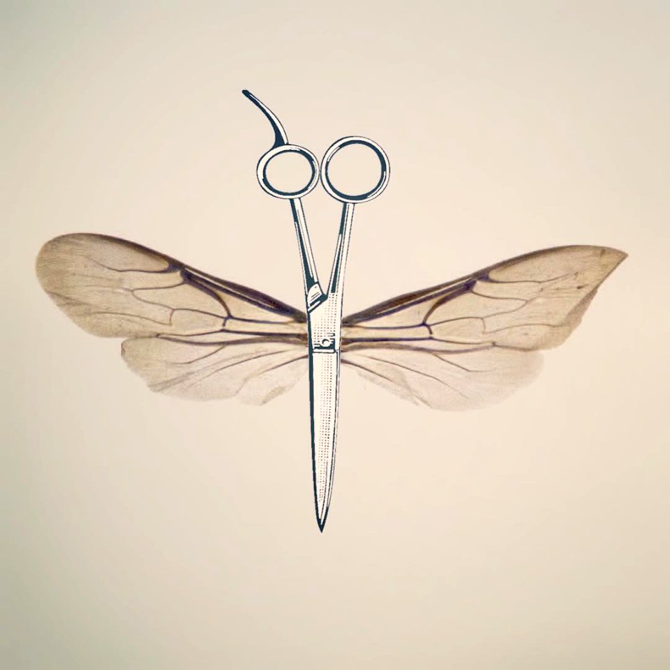 FreeScissorFly. #collage #c expo #contemporarycollage #collagecollectiveco  #fabacollagemag #ginexín #yeswecut