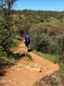 Sacramento River Bend, Yana Trail