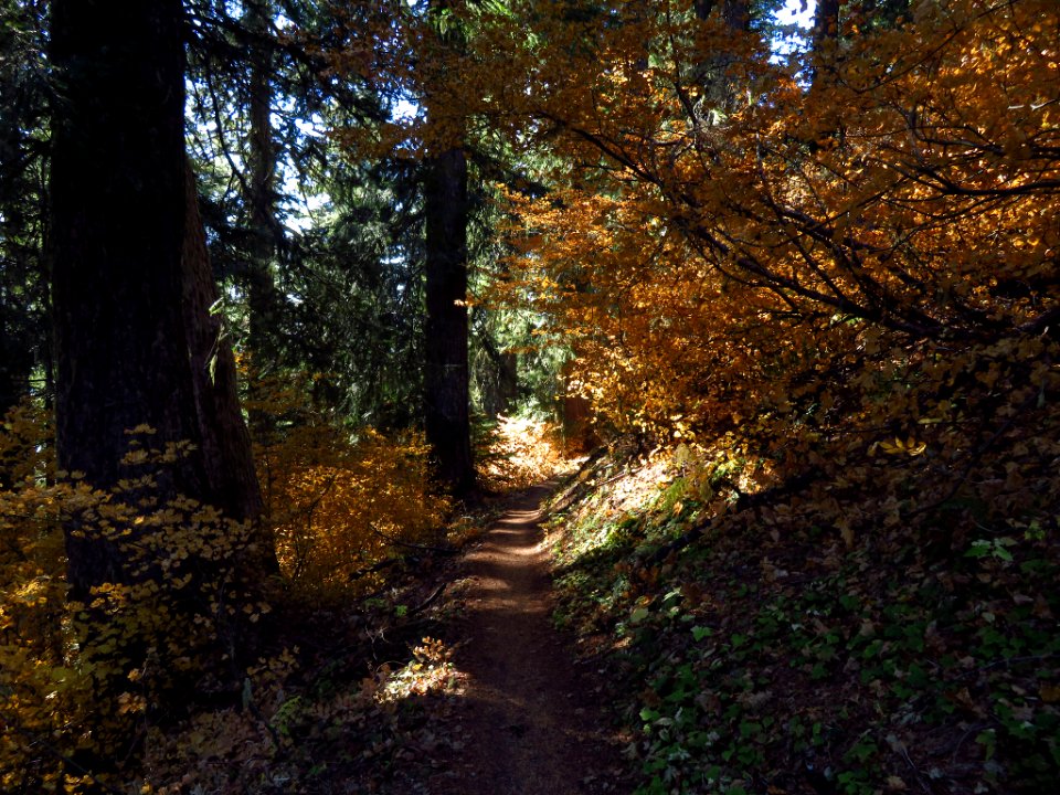 Ape Canyon Trail in WA
