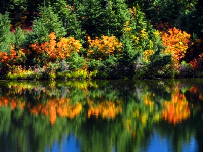 Autumn at Picture Lake in WA