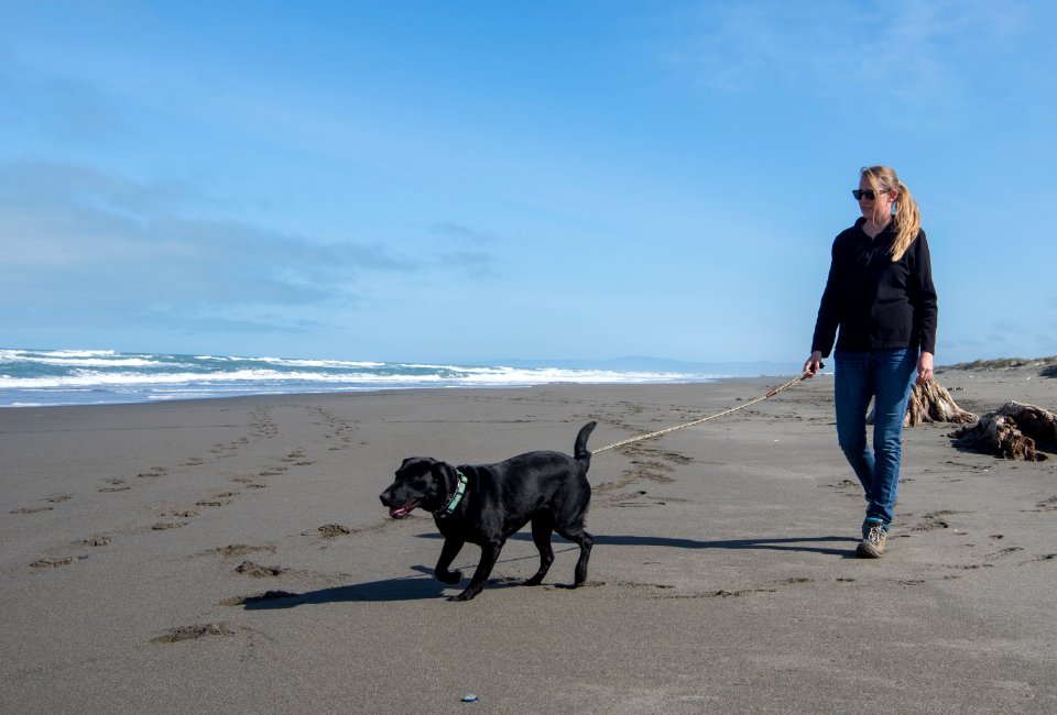 Mike Thompson Wildlife Area, South Spit Humboldt Bay