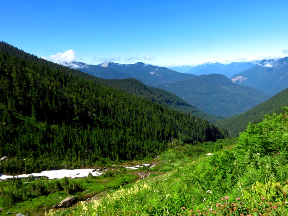 Hidden Lake Trail at North Cascades NP in WA