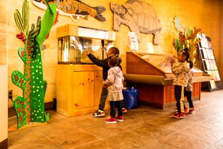 Desert Discovery Center