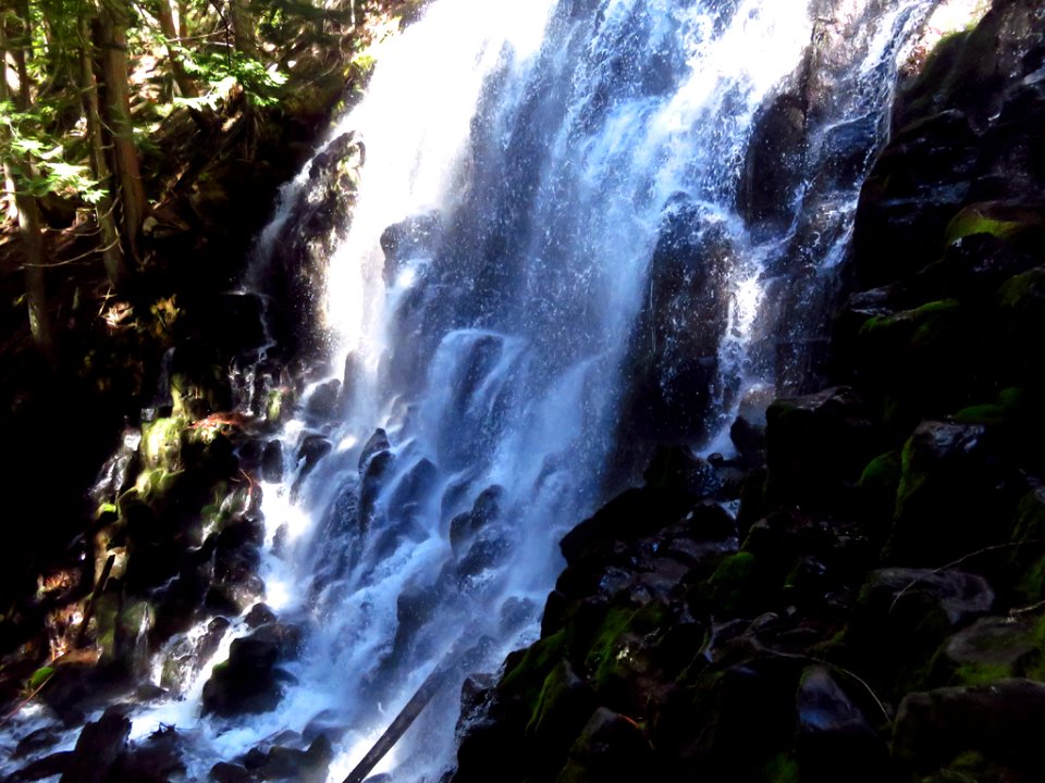 Ramona Falls Hike at Mt. Hood Wilderness in Oregon photo