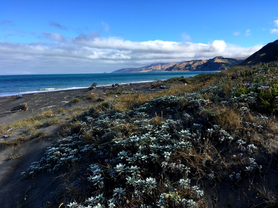 Mattole Beach King Range in Arcata Field Office