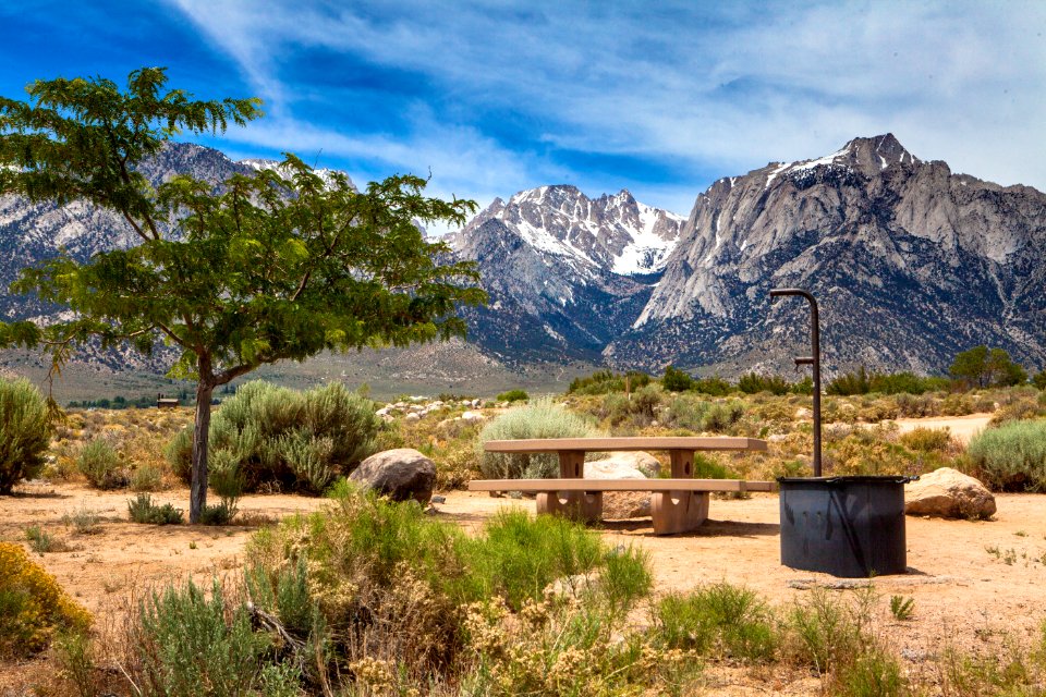 Tuttle Creek Campground site