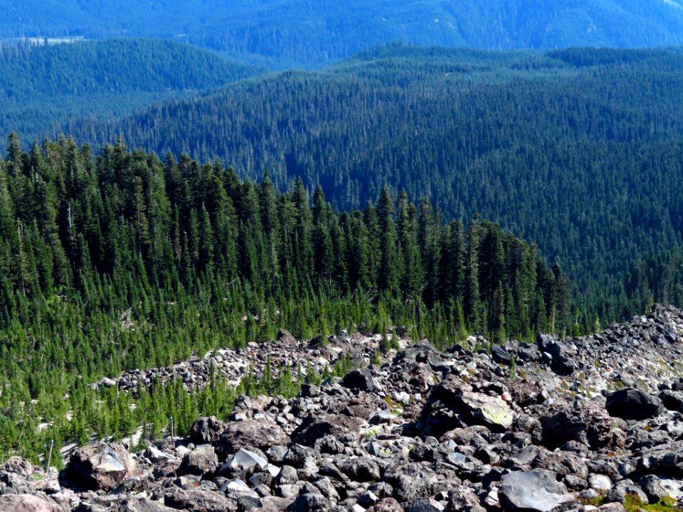 Mt. St. Helens Summit Trail in WA
