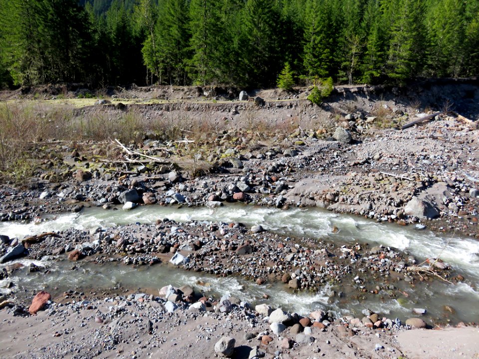 Ramona Falls Hike at Mt. Hood Wilderness in Oregon