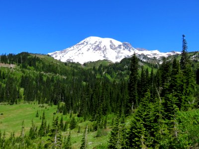 Mt. Rainier NP in Washington