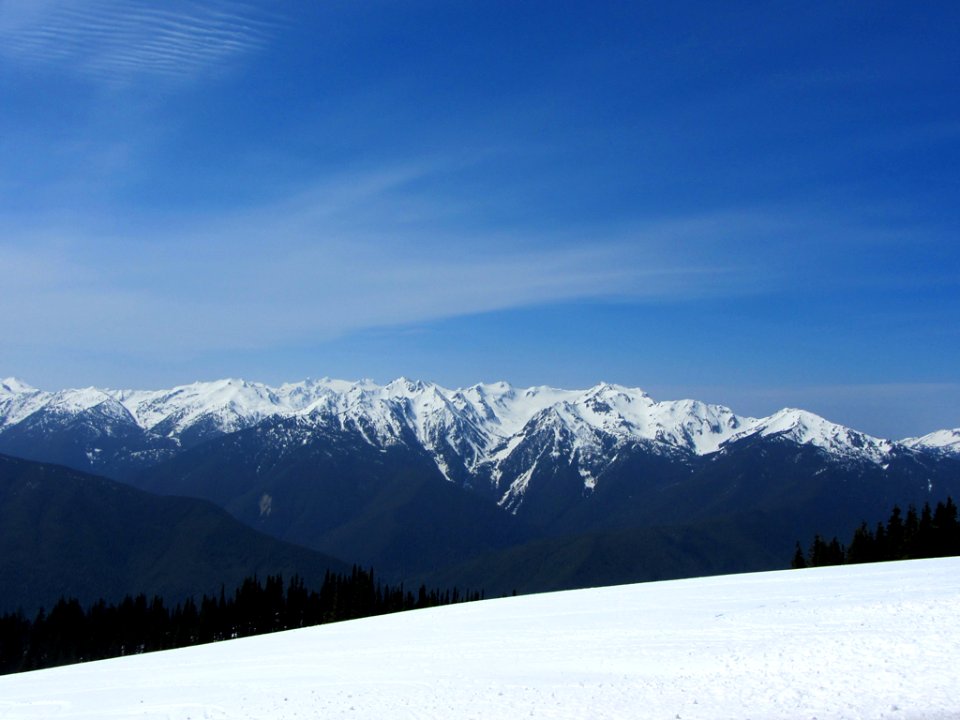 Hurricane Ridge at Olympic NP in WA