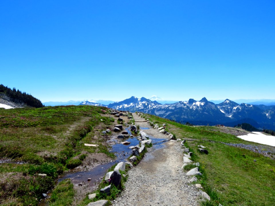 Skyline Trail at Mt. Rainier NP in WA