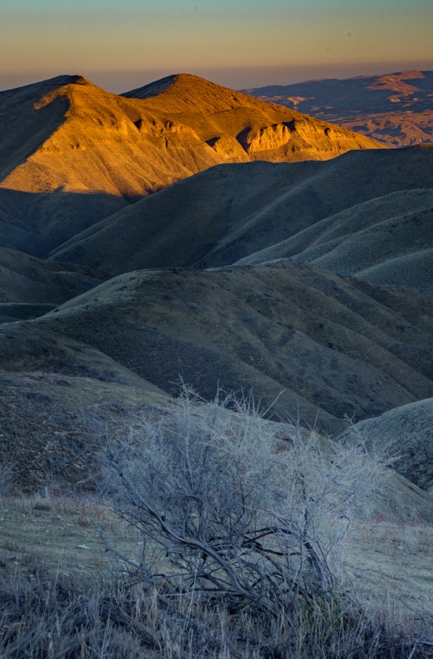 Panoche Hills