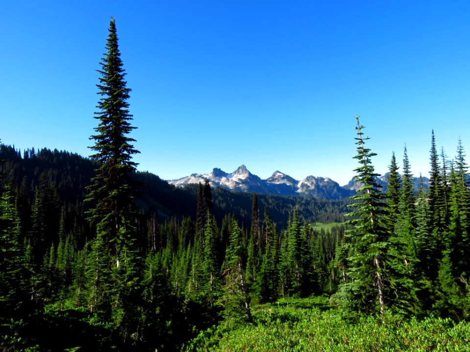 Skyline Trail at Mt. Rainier NP in WA